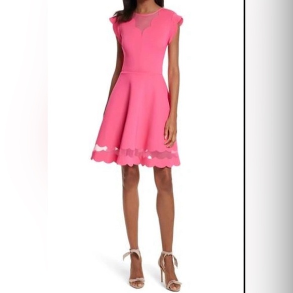 Ted Baker Sharlot Fit & Flare Pink Cap Sleeve Mesh Panel Dress | Size Medium - Picture 2 of 16